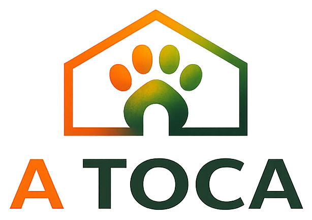 A TOCA